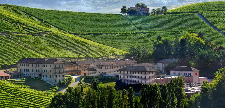 An Important Barolo’s 2013 Debut