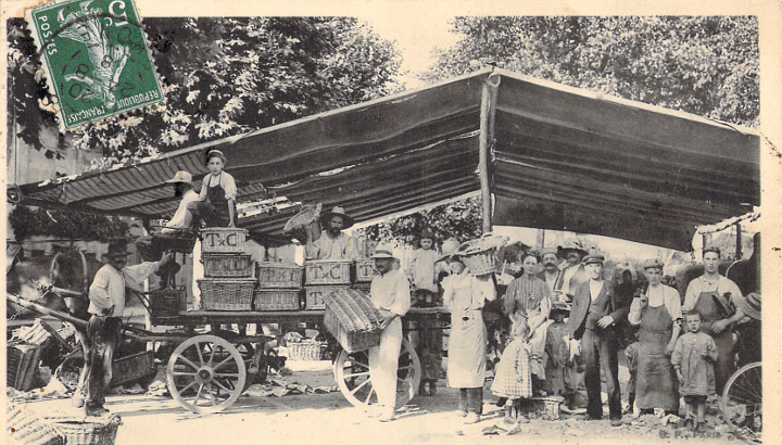 Farmers packing up apricots for transport.  By 1945 a kilo of apricots, at one franc, was worth more than twice as much as a kilo of Côte Rôtie grapes