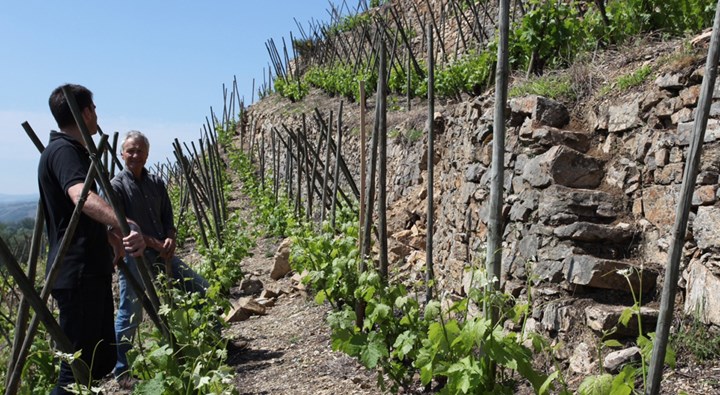 René and son Pierre Rostaing in the vineyard.